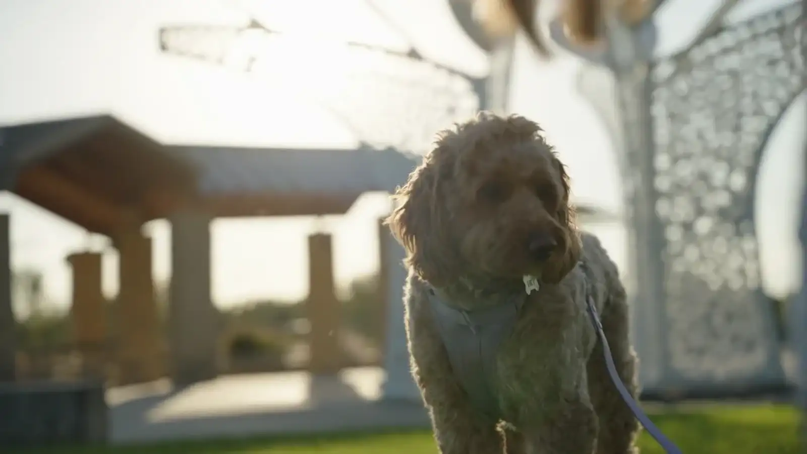 Polk County 00 00 26 16 Still026